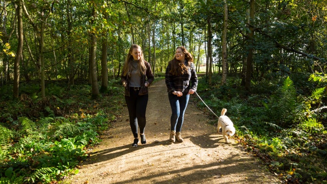 Image shows two visitors walking along a path in the woodland with a dog